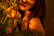 [PDL潘多拉] 2020.01.07 No.263 [66+1P]-套图岛