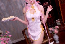 周叽是可爱兔兔 NO.022 - 旗袍索尼子[14P／176MB]-套图岛