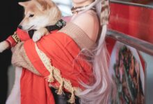 Coser面饼仙儿 – Belfast [17P-266M]-套图岛