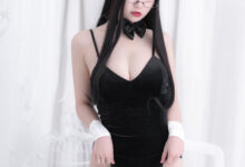 雪晴Astra NO.005 - 兔女郎[16P／109MB]-套图岛