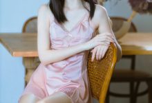 许岚 NO.009 — 半透粉纱[40P-836MB]-套图岛