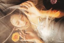 兔子Zzz不吃胡萝卜 - NO.46 梦莲 [30P-377MB]-套图岛