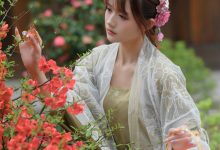 兔子Zzz不吃胡萝卜 - NO.73 宫墙柳 [43P-445MB]-套图岛