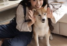 [YITUYU艺图语]2022.11.27 Hi,小狗 叛逆的捡捡唯[28+1P／201MB]-套图岛