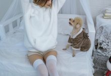 [YITUYU艺图语]2022.12.17 温馨少女与宠物们 兔子Zzz不吃胡萝卜[23+1P／371MB]-套图岛