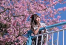 萌芽儿 -  异木棉花 [27P-436MB]-套图岛