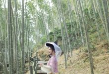 [YITUYU艺图语]2023.04.07 竹乡 沉诗思[20+1P／235MB]-套图岛