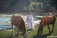 [YITUYU艺图语]2023.04.09 去随青草牧春牛 瑜瑾[24+1P／524MB]-套图岛