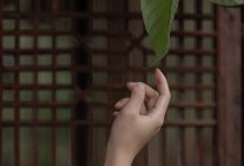 [YITUYU艺图语]2023.04.13 庭有枇杷树 时生[24+1P／339MB]-套图岛