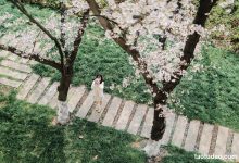 [YITUYU艺图语]2023.04.18 樱花教室 萌伊伊[32+1P／368MB]-套图岛