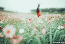 [YITUYU艺图语]2023.04.26 花语 小温暖想要个大太阳 [23+1P／231MB]-套图岛