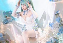 星之迟迟 -  2024年02月计划A 初音未来 粉蝶花精灵[54P+1V-4.51GB]-套图岛