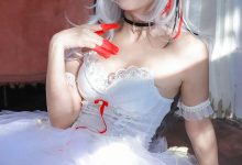 苏嫣嫣阿姨-明日方舟-W芭蕾 [30P-249MB]-套图岛