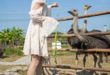 [尤蜜丝]穿搭写真 NO.086[76P／400MB]-套图岛