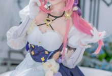 大大卷卷小卷 –  崩坏3 爱莉希雅女仆 [29P-169MB]-套图岛