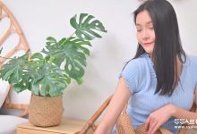 [SSA丝社]短片 NO.0164 君君 浪莎肤色丝袜[1V／525MB]-套图岛