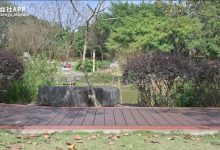 [SSA丝社] 短片 NO.211 文子 国产muziduo[1V-1.01G]-套图岛