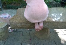 [MussGirl]慕丝女郎视频 No.027 人气网红主播月亮姐姐有幸约得户外拍摄 [MP4-3.00GB]-套图岛