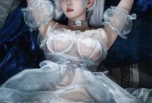 Natsuko夏夏子 –  灰姑娘水晶公主Cinderella（NIKKE The Goddess of Victory）[97P-394M]-套图岛